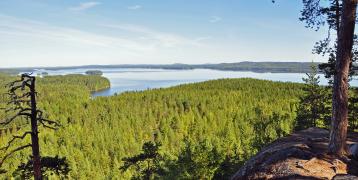 Hyyppäänvuori, Laukaa. Image from high on top of the hill, green coniferous forest and a lake visible below and in distant.